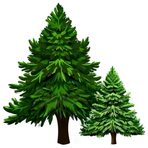 Evergreen Tree Shadow Png 97 PNG Image