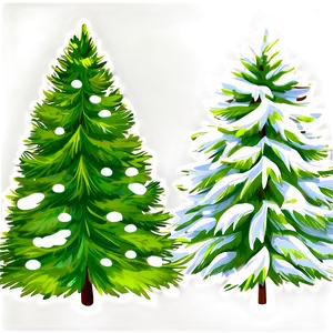 Evergreen Tree Vector Png Xvd PNG Image