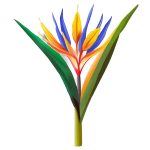 Exotic Bird Of Paradise Plant Png 06212024 PNG Image