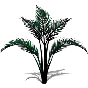 Exotic Plant Shadow Clipart Png Scd39 PNG Image