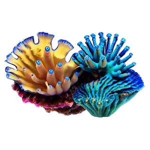 Exotic Reef Creatures Png 3 PNG Image