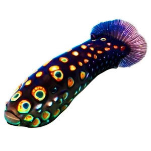 Exotic Reef Creatures Png 49 PNG Image