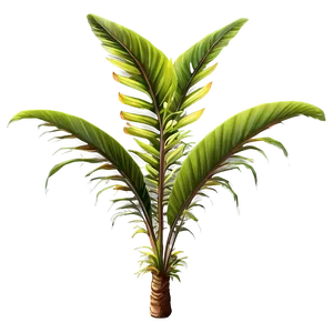 Exotic Tropical Plant Png 20 PNG Image