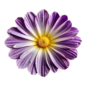 Exquisite Petal Png Slp PNG Image