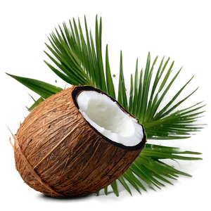 Extra Virgin Coconut Oil Png 06262024 PNG Image