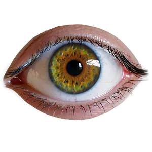 Eye Clipart Transparent Png Gsy84 PNG Image