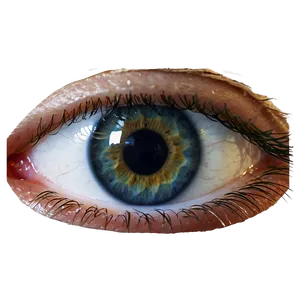 Eye Reflection Transparent Png Eku PNG Image