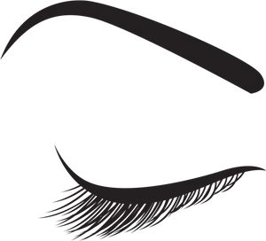 Eyebrowand Eyelash Silhouette PNG Image