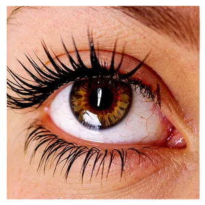 Eyelash Extension Graphic Png 06122024 PNG Image