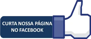 Facebook Like Button Brazilian Portuguese PNG