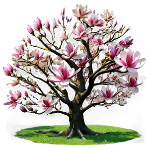 Fairy Tale Magnolia Tree Png 75 PNG Image