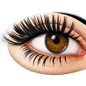 Fake Lower Lashes Png 06272024 PNG Image