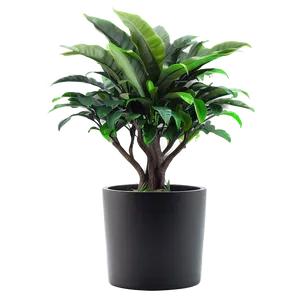 Fake Plant For Office Desk Png Rdi PNG Image