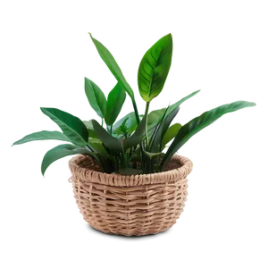 Fake Plant In Basket Png Cfn PNG Image