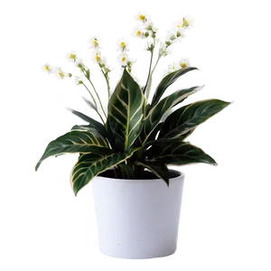 Fake Plant With Flowers Png Igp88 PNG Image