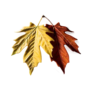 Fall Leaf Drop Png 16 PNG Image