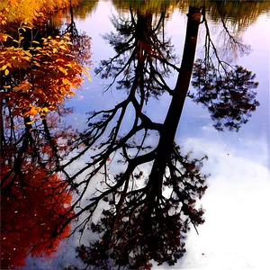 Fall Trees Reflection In Water Png Ceo PNG Image