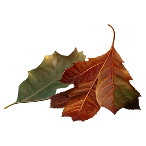 Fallen Leaves Autumn Scene Png Vkw2 PNG Image