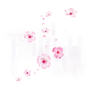 Falling Sakura Petals Png 88 PNG Image