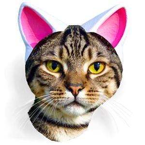 Fancy Cat Ear Drawing Png Xaq43 PNG Image