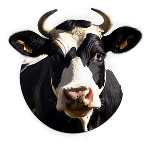 Farm Animal Cow Face Png 06212024 PNG Image