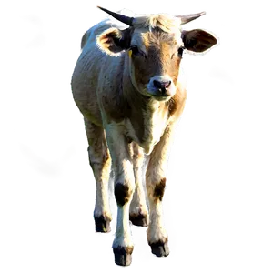 Farm Animals A PNG Image