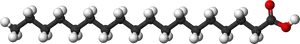 Fatty Acid Molecule Structure PNG Image