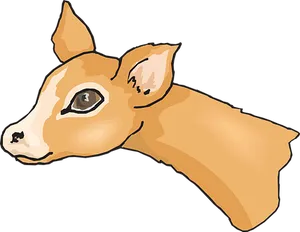 Fawn Head Illustration PNG Image