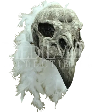 Feathered Skull Artifact PNG Image