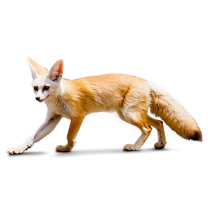 Fennec Fox In Action Pose Png Eau56 PNG Image