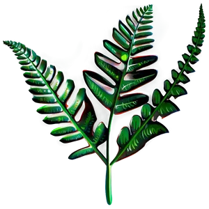 Fern Leaf Illustration Png 1 PNG Image