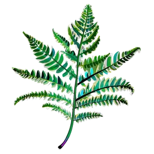 Fern Leaf Illustration Png Qpt66 PNG Image