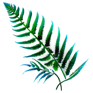 Fern Leaf Outline Png Syb85 PNG Image