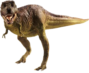 Ferocious_ Tyrannosaurus_ Rex_ P N G PNG Image