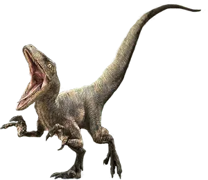 Ferocious Velociraptor Jurassic Park PNG Image