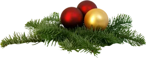 Festive Christmas Ornamentson Pine Branch PNG Image