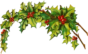 Festive Holly Border Design PNG Image