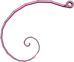 Fibonacci Spiral Illustration.png PNG Image