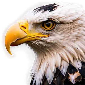 Fierce Eagle Head Portrait Png 47 PNG Image