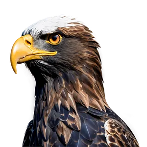 Fierce Eagle Head Portrait Png 72 PNG Image