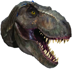 Fierce_ Tyrannosaurus_ Rex_ Head PNG Image