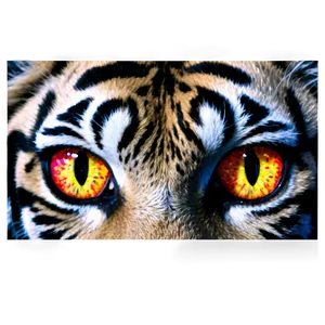 Fiery Eyes Tiger Png Aqq PNG Image