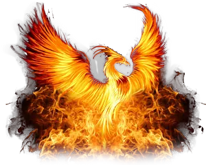 Fiery Phoenix Rising PNG Image