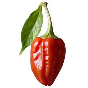 Fiery Red Habanero Png Ayh84 PNG Image