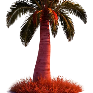 Fiery Sunset Palmera View Png 06262024 PNG Image