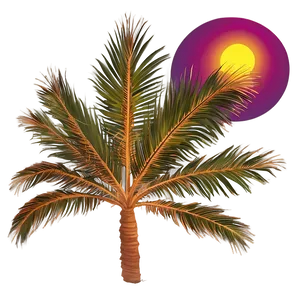 Fiery Sunset Palmera View Png Saq PNG Image