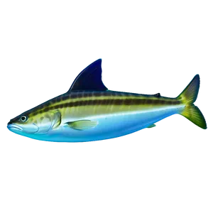 Fin Under Sea Light Png 97 PNG Image