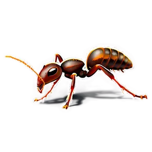 Fire Ant Silhouette Png Prj PNG Image