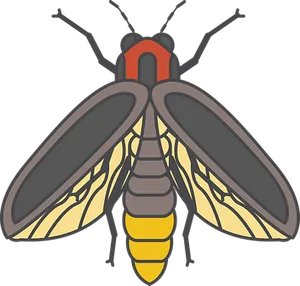 Firefly_ Illustration_ Vector PNG Image
