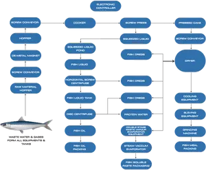 Fish Processing Flowchart Diagram PNG Image